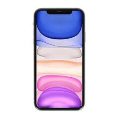 iPhone 11 (100%)