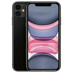 Apple iPhone 11 (100%)