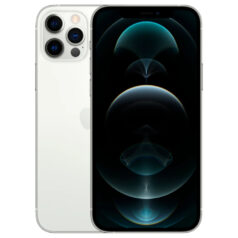 iPhone 12 Pro (100%)